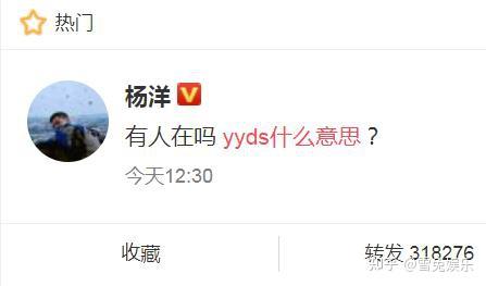 杨洋询问"yyds什么意思",粉丝回复"杨洋单身",好搞笑!