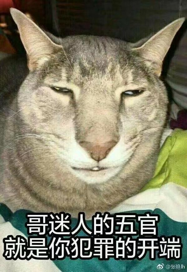 有哪些你觉得搞笑的图片,文字或表情?