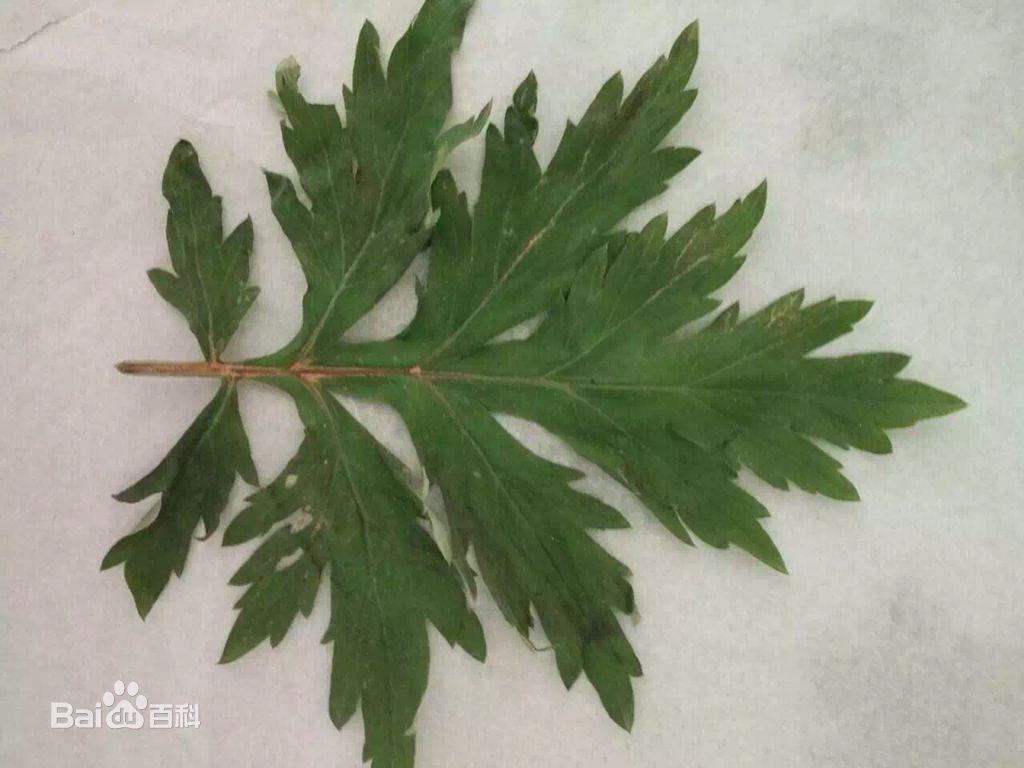 艾薇兒 激情時刻 無碼直擊