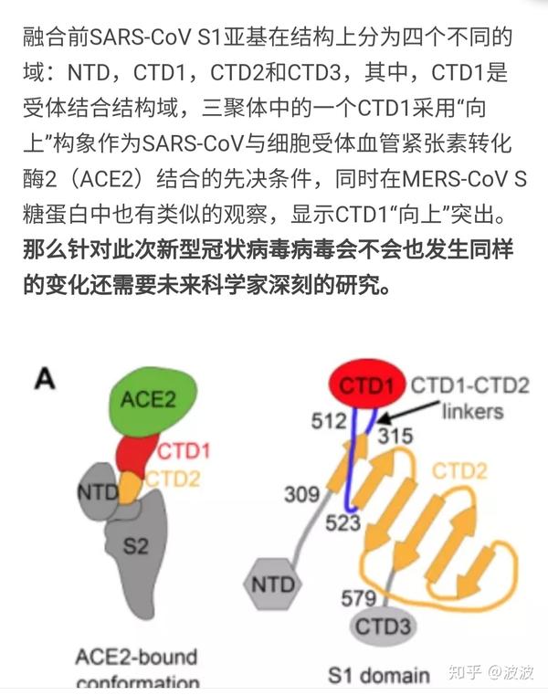 关于ace2受体与2019-ncov的探讨,以及对医药研发的思考 知乎