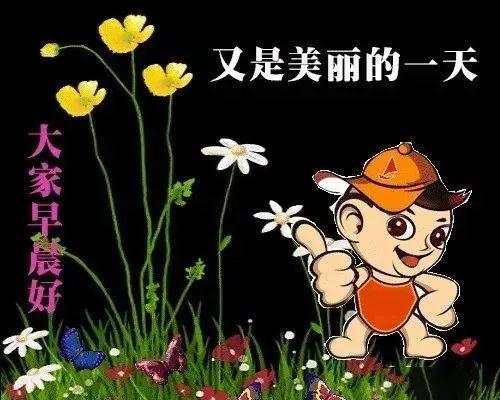 超好看的早上好温馨祝福语录图片八月清晨问候大家早上好的漂亮图片带
