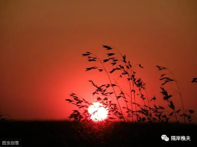 我与地坛苦海难渡重温史铁生笔下的生死之辩