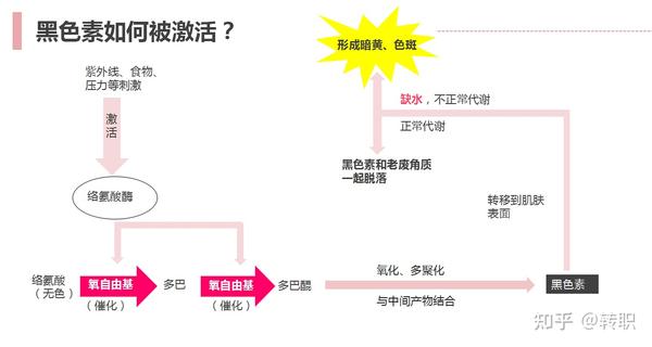 带你全方位了解暗黄斑点肌肤形成原以及方案