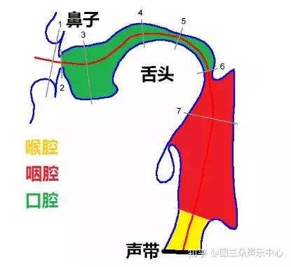 2,头腔共鸣