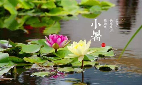 小暑古诗共赏 - 知乎