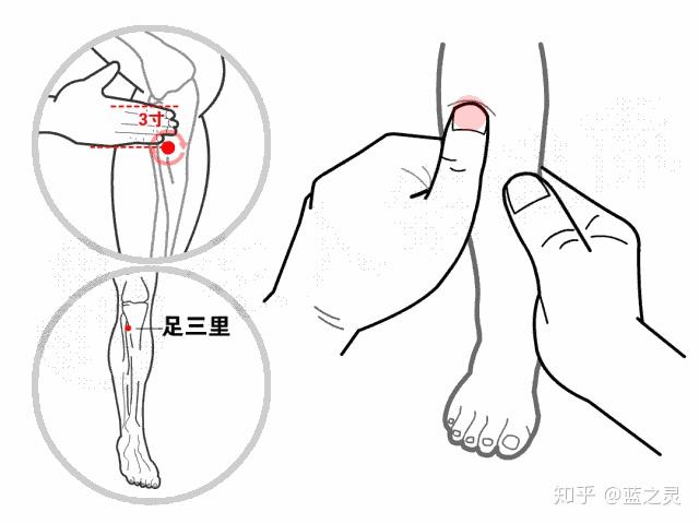 肚腹三里留