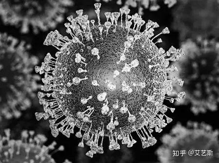 本月14日发端于英国的新冠病毒变异毒株迄今已由欧洲蔓延至今欧亚非等