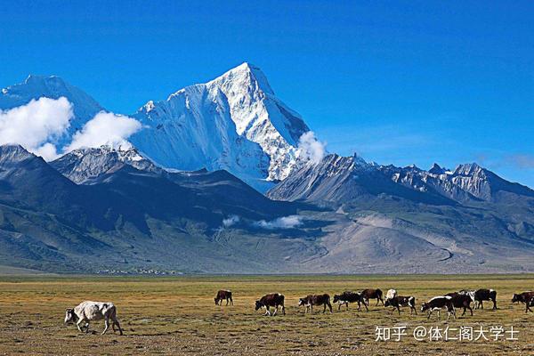 喜马拉雅山发生雪崩,7人失踪