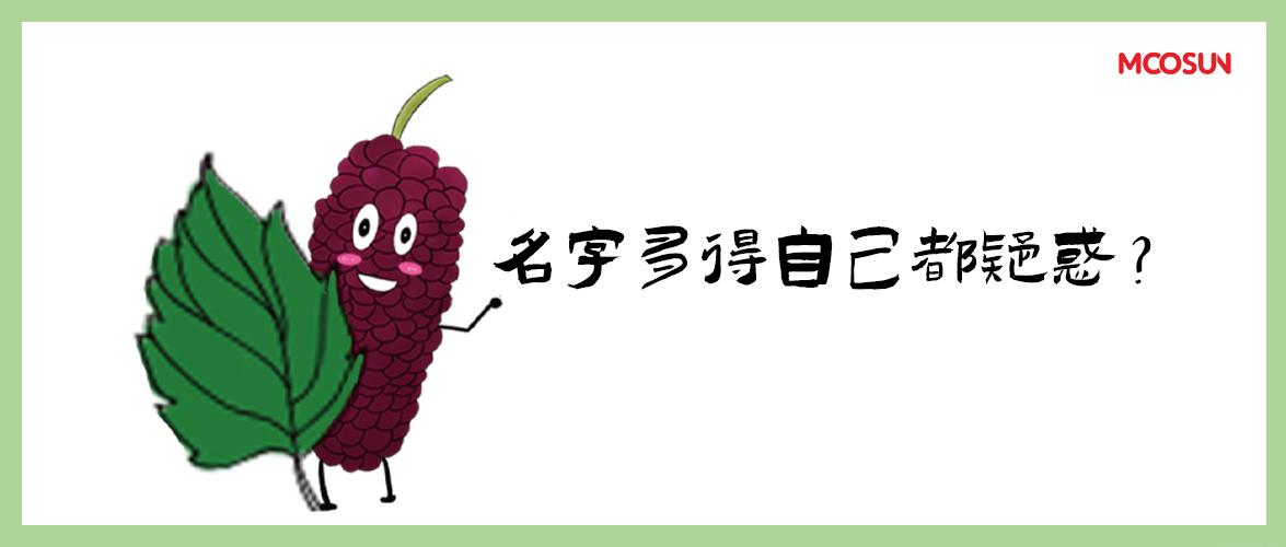 陌桑科普桑葚究竟有多少个名字肯定有你不知道的
