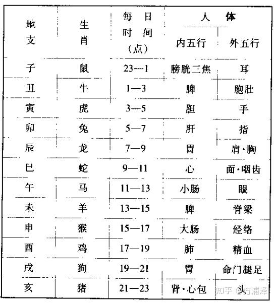 五,十二支与生肖,时辰及人体器官的对应关系地支的藏干,随着节令的