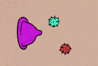 那些不带套的情侣,现在还好吗?