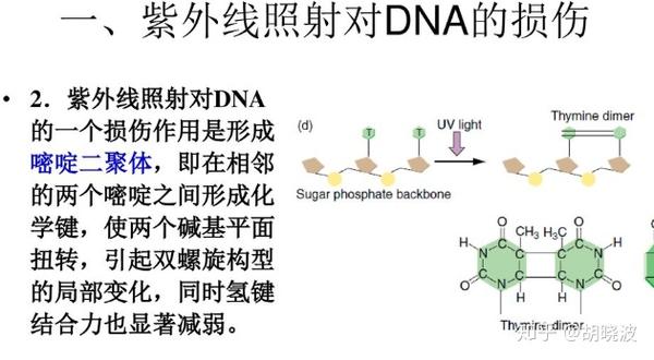 来看看最强防晒长什么样