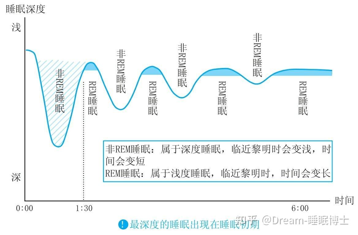 睡眠一定要满8个小时其实达到睡眠周期就足够