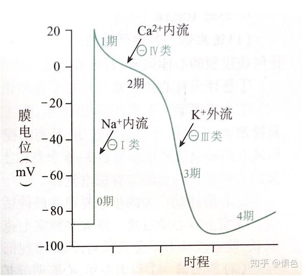 延长动作电位时程 钾通道阻滞药:延长动作电位时程 减少后除极 钙通道