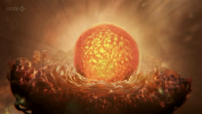 生物学家们通过观察属于我们的小小宇宙,和天体物理学家一起,探索着