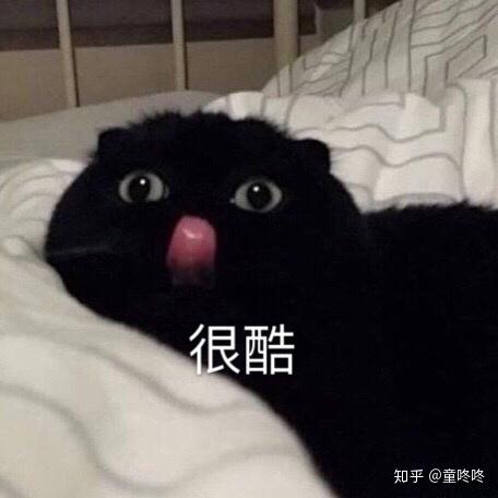 我也很绝望啊 我微信头像是一只黑色的猫猫 但是他们都说不像 多