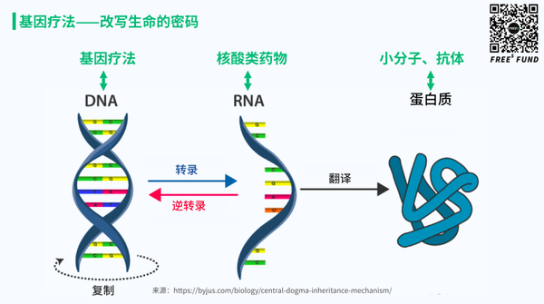 以dna为「靶点」的基因疗法