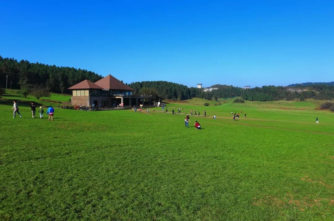 位于重庆市武隆区的仙女山国家森林公园,山中有峰酷似飞舞的仙子而得