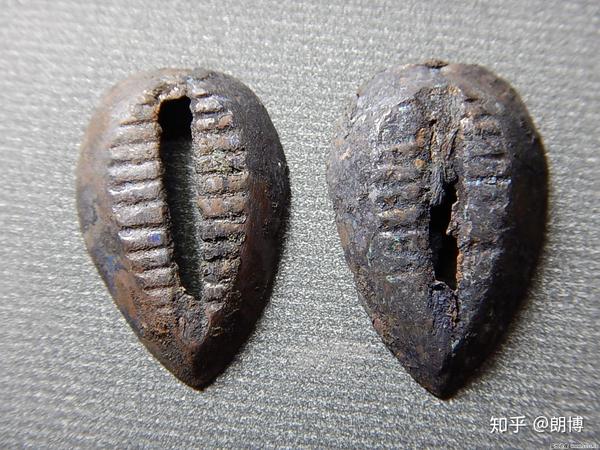 为什么古代用贝壳做货币?