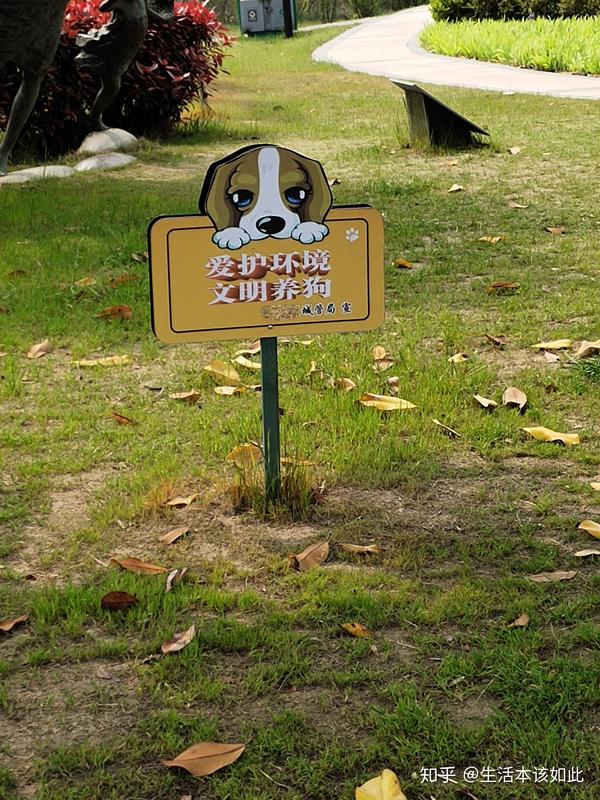 公园也是很多提示牌,要求养狗人"爱护环境,文明养狗",其实就是说不要
