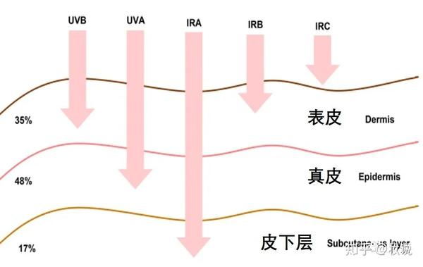 紫外线与皮肤问题