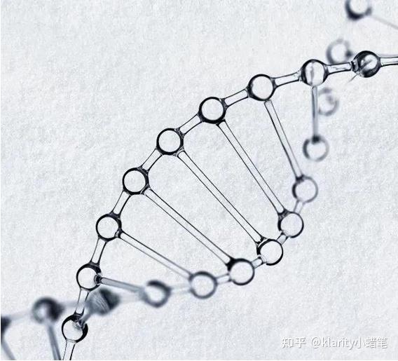 这些小分子的生物活性胶原肽由于具有三螺旋结构,十分稳定,因此并不会
