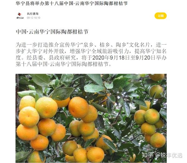 诚信锐丰 品质放心购 多年来,华宁县连续举办国际柑桔节已经十七届