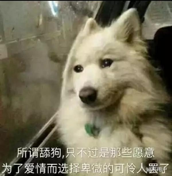 不做舔狗