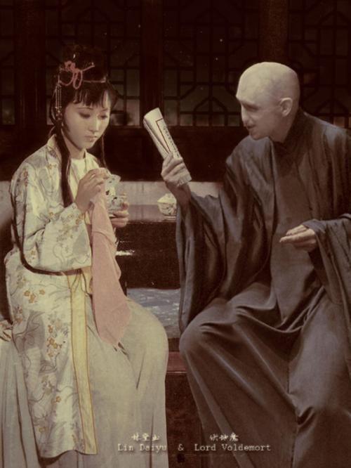这能没有伏地魔和林黛玉?