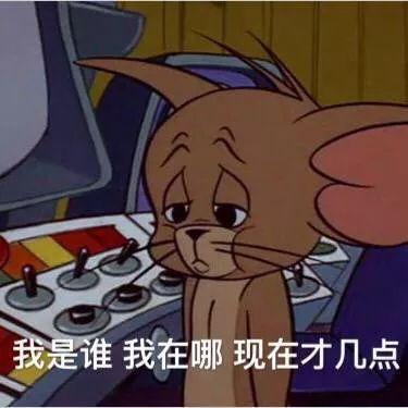 猫和老鼠之小黄鸭表情包