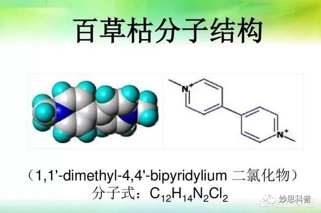 阅尽天下雾霾,心中自然无霾 百草枯是一种原先非常常用的农药【分子式