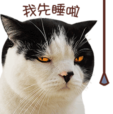 壁纸 动物 猫 猫咪 小猫 桌面 226_228 gif 动态图 动图