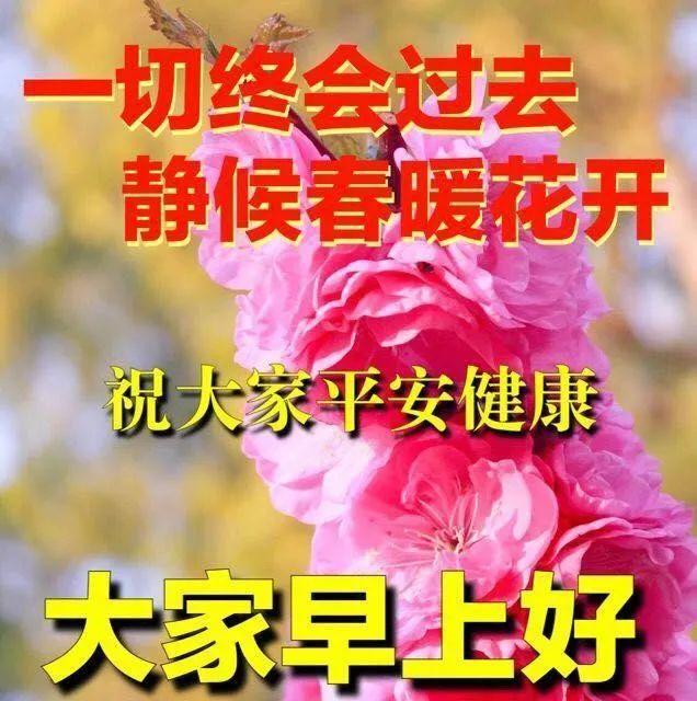 炎热清晨温馨的早上好问候语录图片带字漂亮的早上好祝福美图送大家