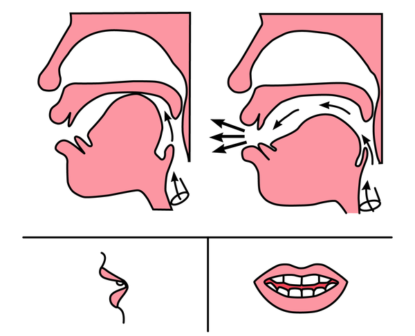 k的发音舌位图