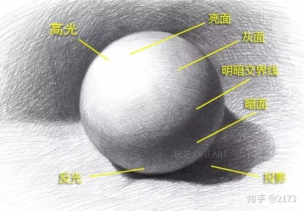 素描关系上的三大面五大调子