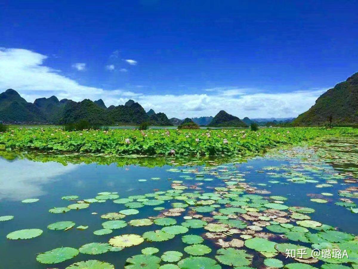 普者黑旅游民宿攻略