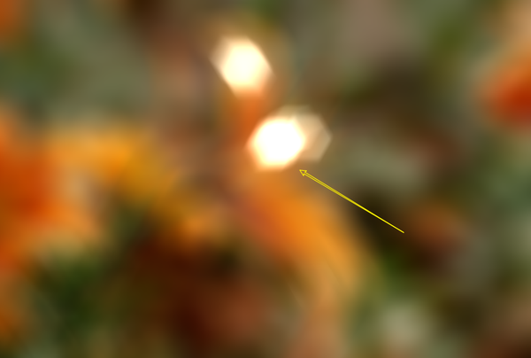 10分钟看懂photoshop实例用镜头模糊滤镜制作景深