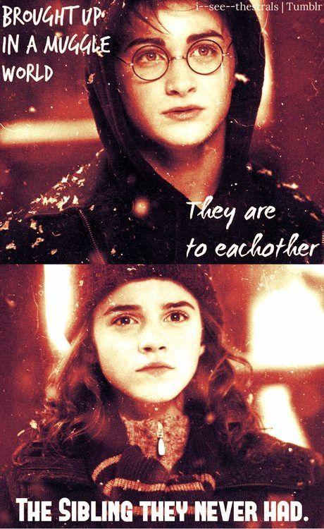 盘点电影中54个经典哈赫时刻_哈赫吧_百度贴吧 转帖者很久不回复