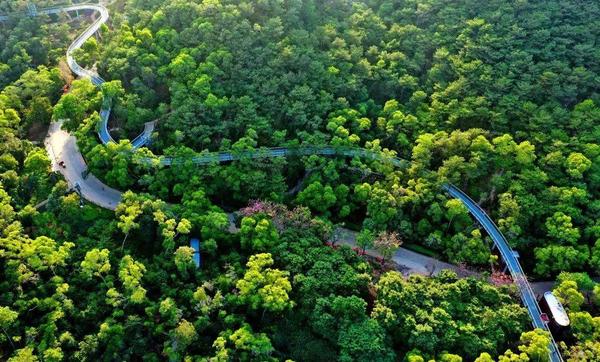 厦门旅游攻略厦门山海健康步道游玩攻略附个人全程徒步超详细路线图