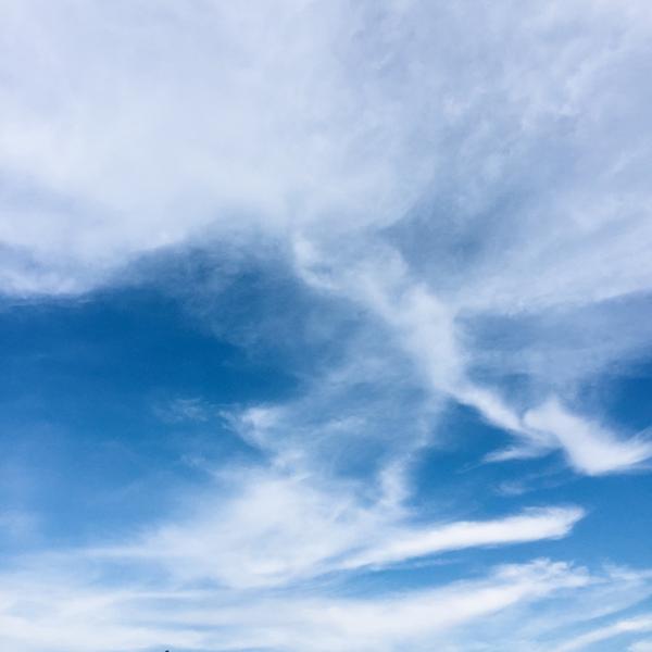 "晓看天色暮看云 这天 是真儿好看啊