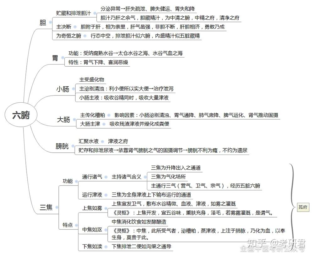 中医考研20张超全思维导图让你吃透脏腑知识重难考点