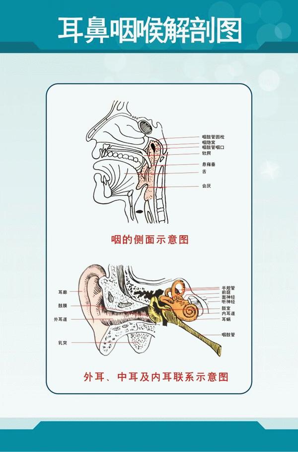 (3)中耳炎导致颅内感染   中耳的顶壁称为鼓室盖,鼓室与大脑间只相隔