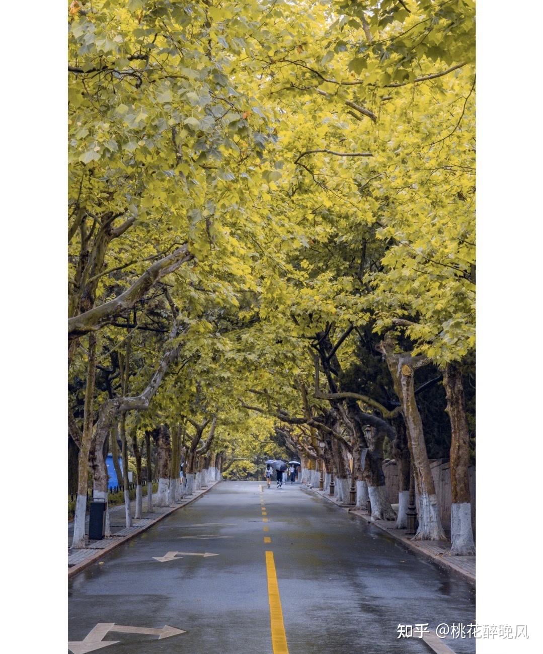 青岛八大关风景区