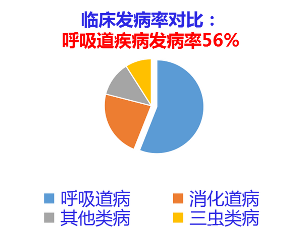 猪群常见呼吸道疾病及防控策略