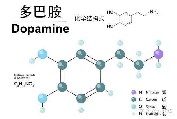 多巴胺的分子结构