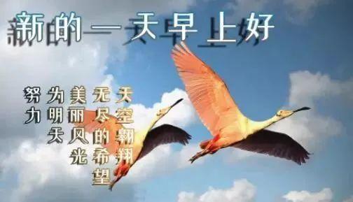 早安2021初秋图片,早安图片2021新图片 2021初秋最新版早上好动态图片大全,早安祝福语短信句子集锦