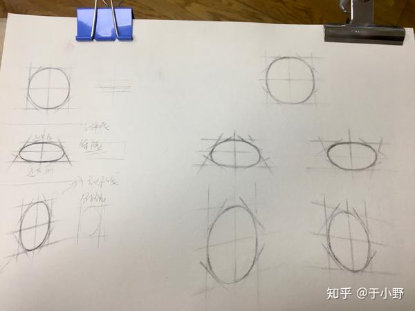 【素描】圆的透视