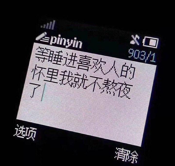 有关沙雕女主的霸道总裁小说