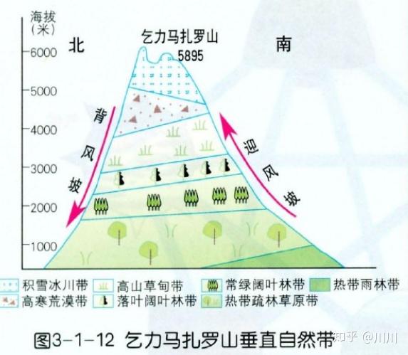 乞力马扎罗山南北坡热量差异不大,水分差异明显,此时迎风坡林线高