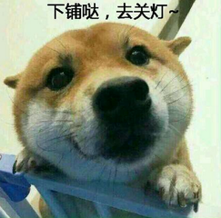 狗狗表情包